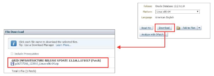 Oracle Support Downloading Patches