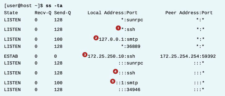 ss command output example in Linux